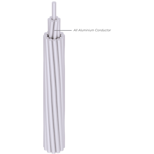 AAC (AAC : All Aluminium Conductor)