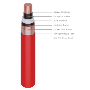 N2XSERGbY (Cu/XLPE/CTS/SWA/PVC)