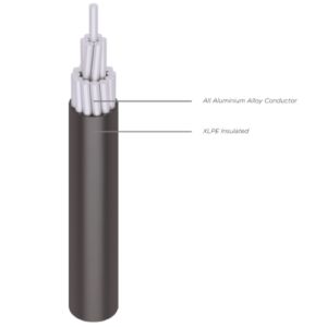 AAAC/S (All Aluminium Alloy Conductor with XLPE Insulated)