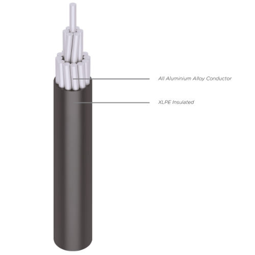 AAAC/S (All Aluminium Alloy Conductor with XLPE Insulated)